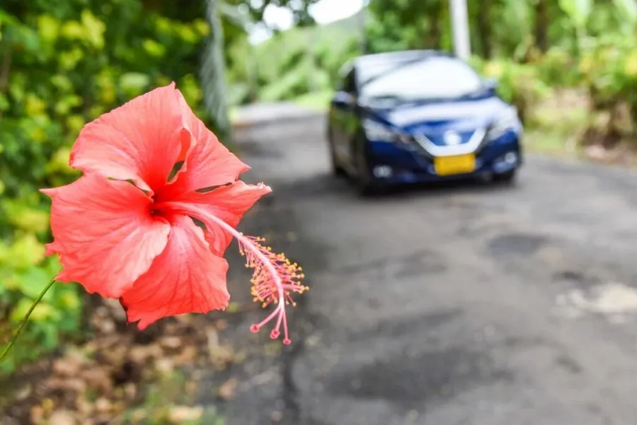 10 Ways to Save Money on Car & Scooter Rental in the Cook Islands