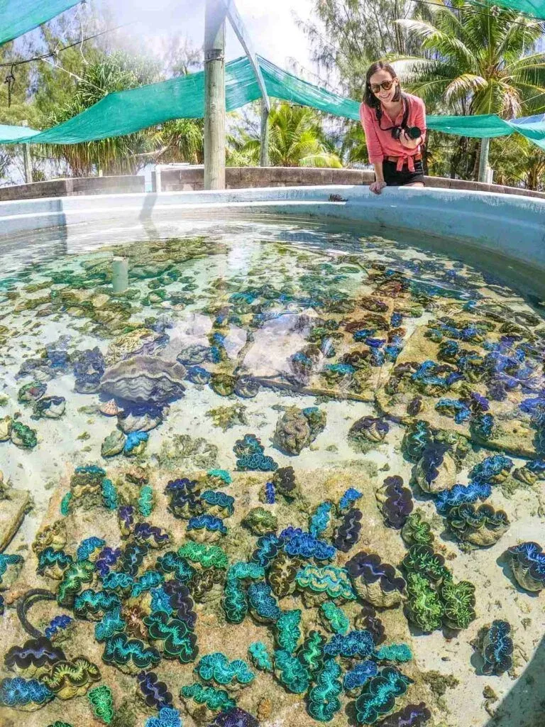 15 Free & Cheap Things to Do on Aitutaki