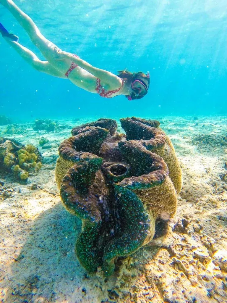 20 Free Things to Do in the Cook Islands