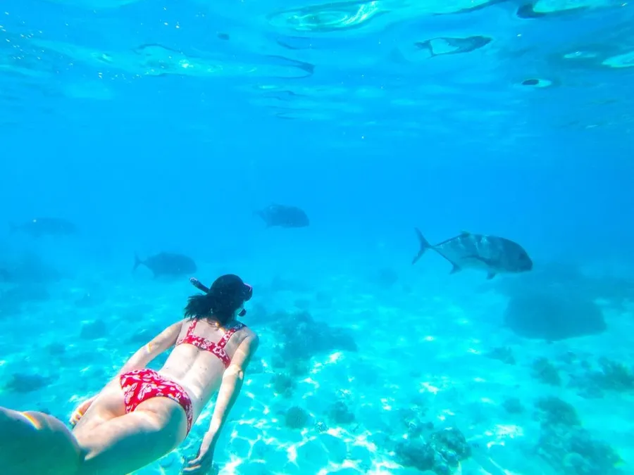 Fishing in the Cook Islands: The Types of Fish in Rarotonga & the Cook Islands