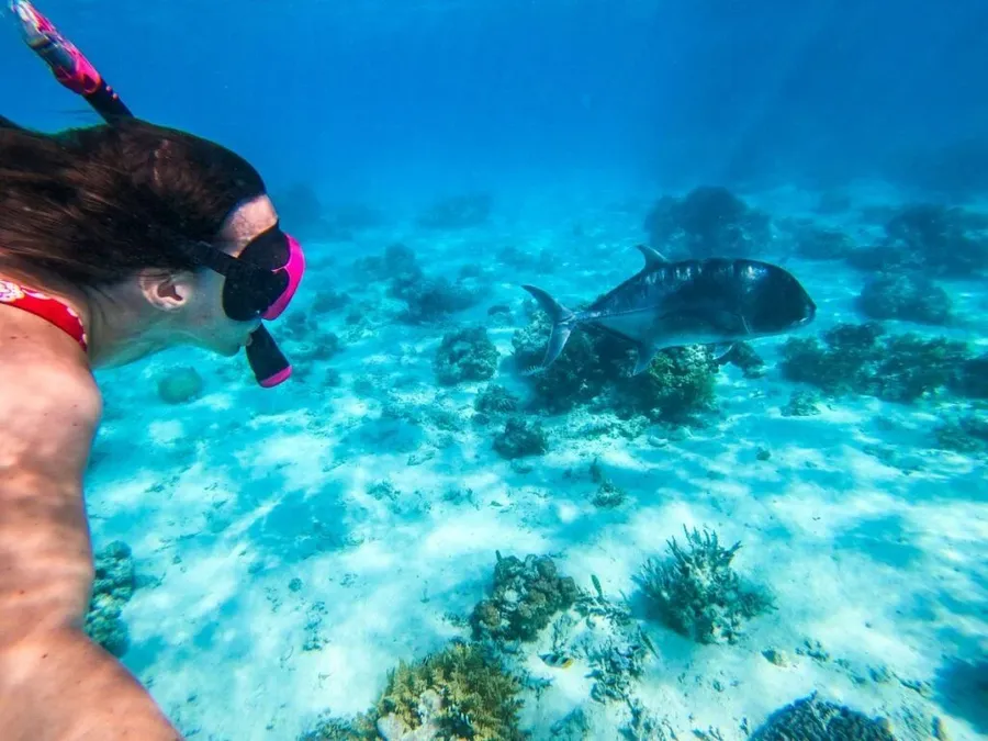 The Best Snorkelling in Aitutaki: Top 10 Places to Snorkel