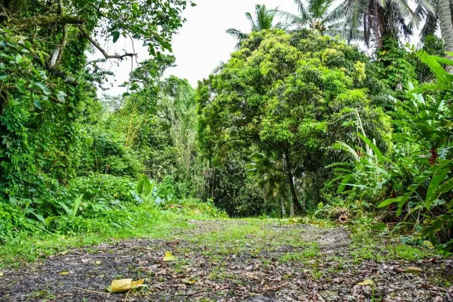10 Best Walks on Rarotonga [2023]