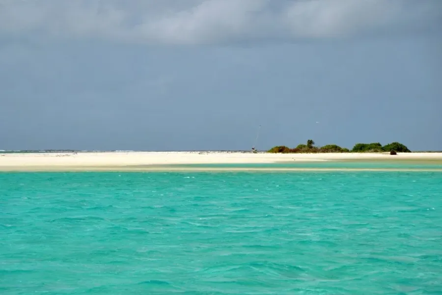 Honeymoon Island CREDIT cookislandspocketguide.com 1024x684