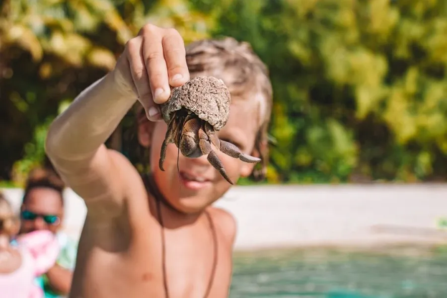 40 Best Things to Do in the Cook Islands with Kids ???? [2023]