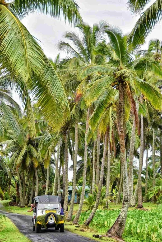 10 Best Sightseeing Tours in Rarotonga & the Cook Islands [2023]