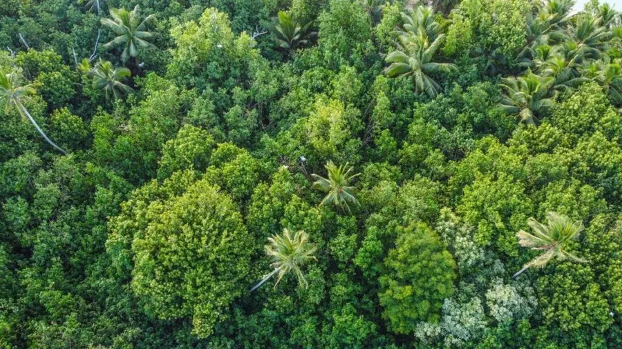The 13 Less-Travelled Islands of the Cook Islands