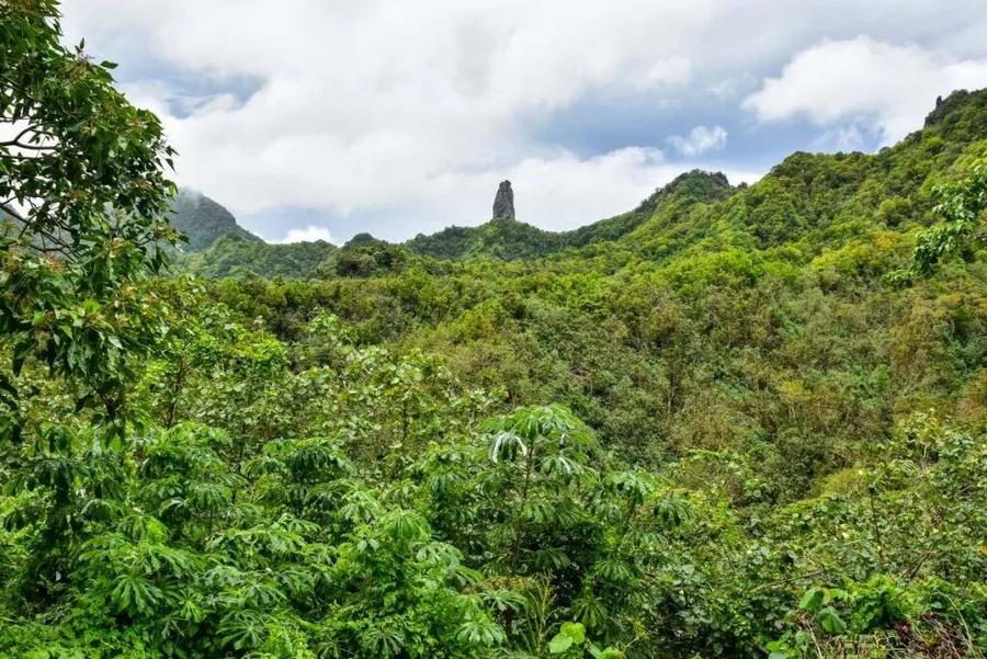 12 Best Nature & Wildlife Tours in Rarotonga & the Cook Islands [2025]