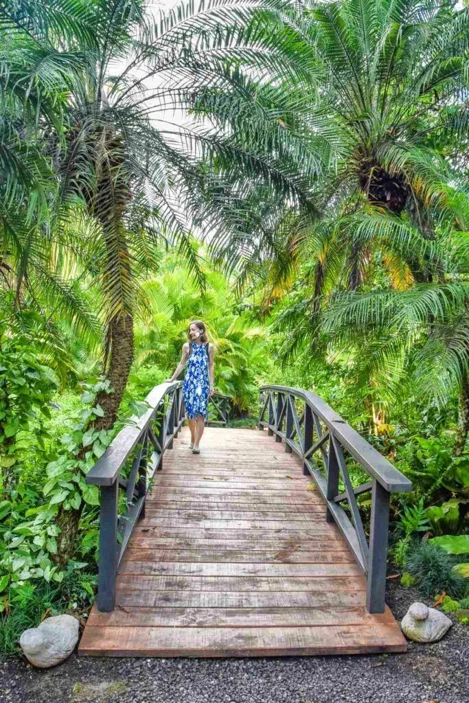 16 Most Romantic Things to Do on Rarotonga for Couples ❤️