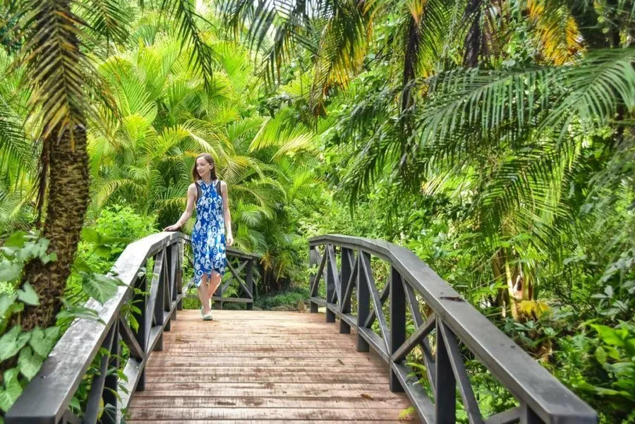 20 Free & Cheap Things to Do on Rarotonga ???? [2023]