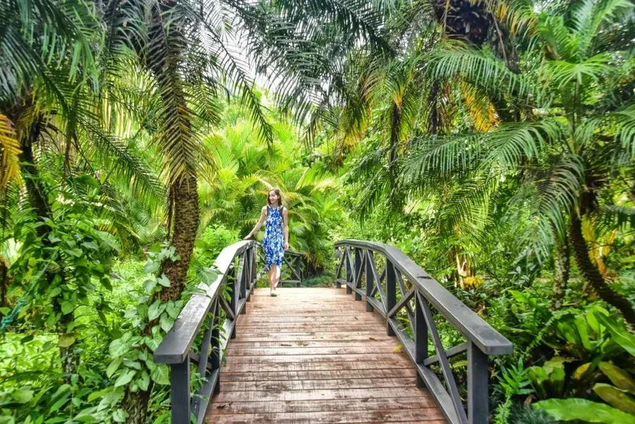 30 Things to Do on Rarotonga with Kids ???? [2023]