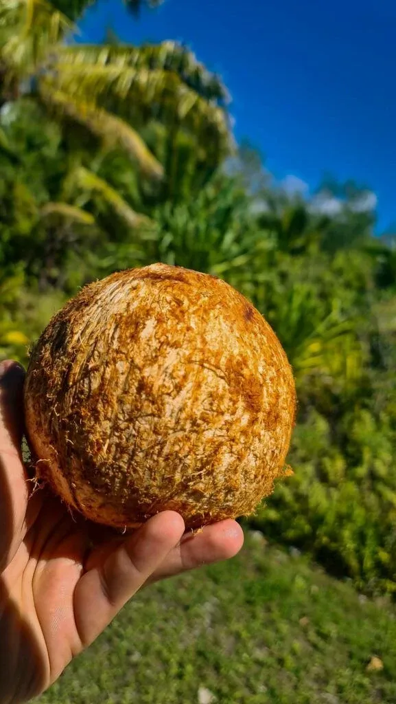 10 Free Things to Do on Mangaia