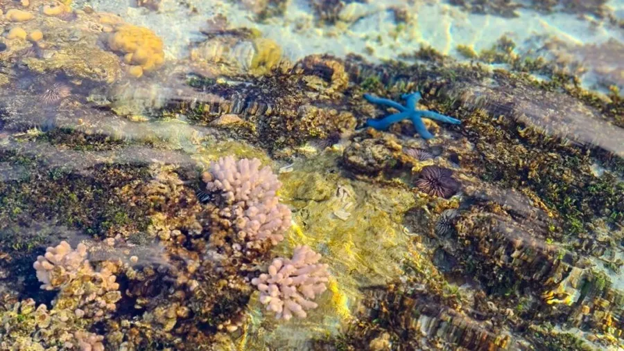 10 Free Things to Do on Mangaia