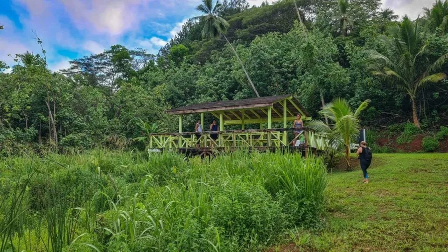 15 Best Things to Do on Mangaia