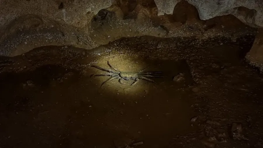 5 Best Caves on Mangaia