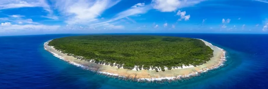 10 Best Places for Whale Watching in Rarotonga & the Cook Islands