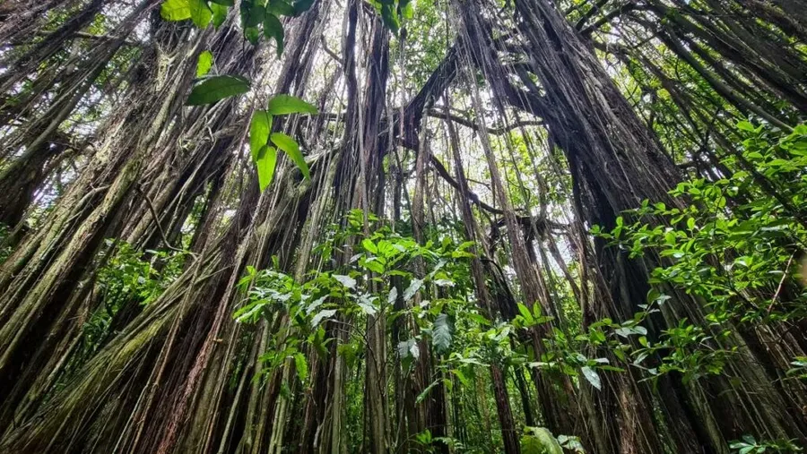 Sightseeing in the Cook Islands: Top 10 Sights in the Cook Islands
