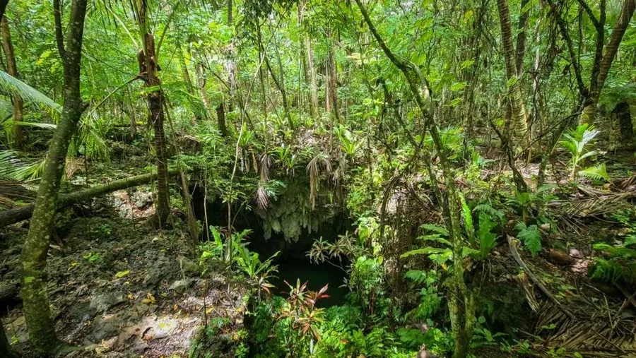 10 Best Caves in the Cook Islands ????