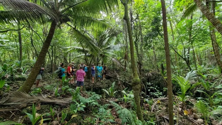 10 Best Sightseeing Tours in Rarotonga & the Cook Islands [2025]