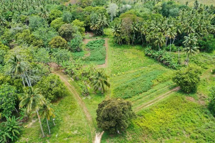 15 Best Things to Do on Mitiaro