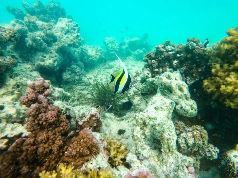 The Best Rarotonga & Cook Islands Itineraries for 10 Days [2023]