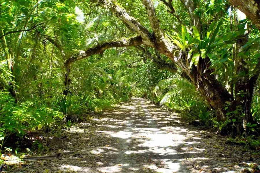 10 Tips for Riding a Scooter in Rarotonga & the Cook Islands