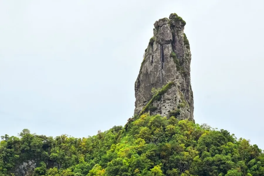 8 Best Guided Walks in Rarotonga & the Cook Islands ⛰️ [2023]