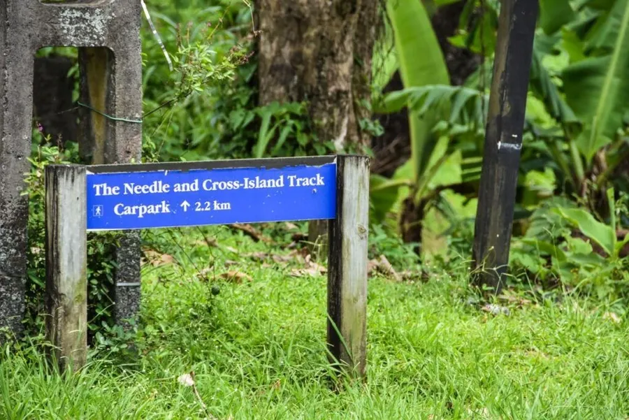 10 Best Walks on Rarotonga [2025]