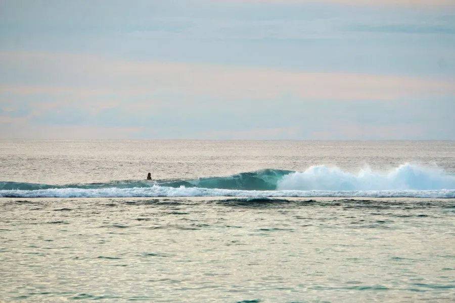 The Ultimate Guide to Surfing in Rarotonga & the Cook Islands [2025]