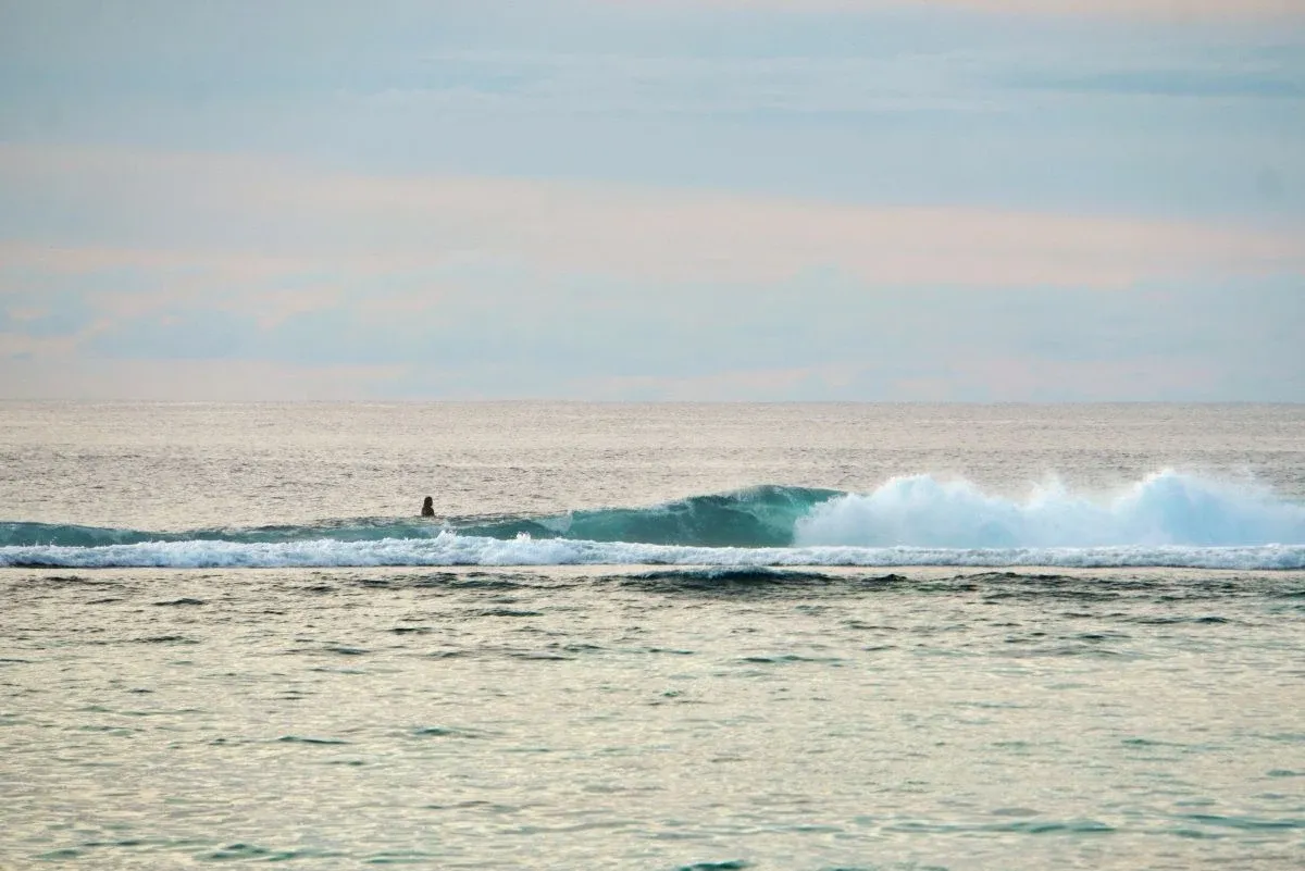 The Ultimate Guide to Surfing in Rarotonga & the Cook Islands [2025]