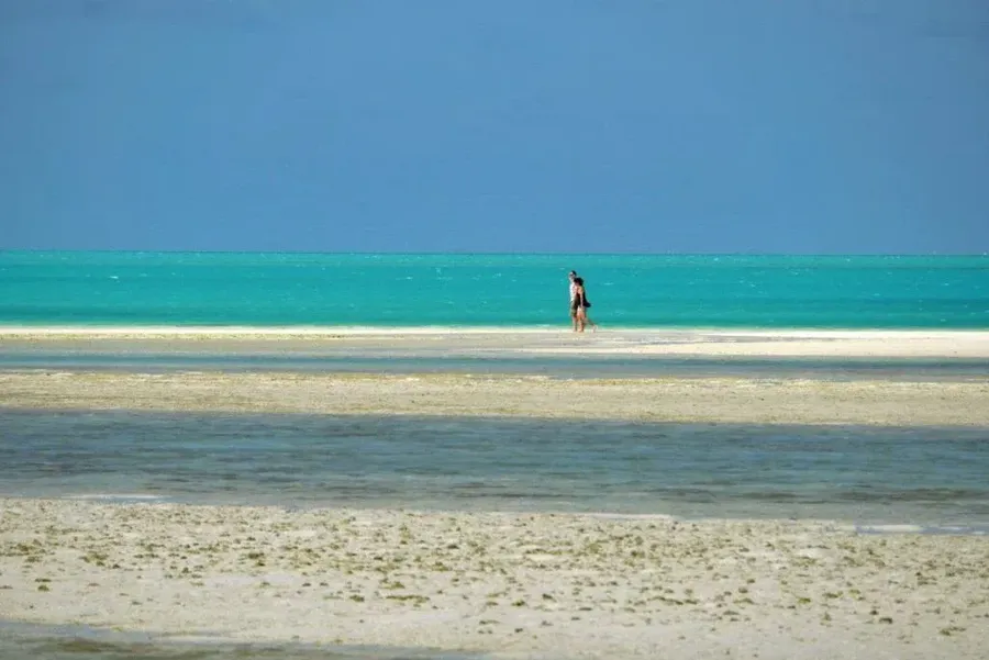 Rarotonga & the Cook Islands Weather in January