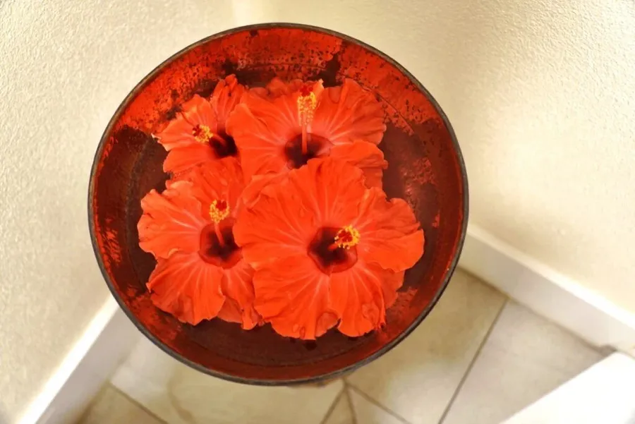 17 Most Romantic Things to Do on Rarotonga for Couples ❤️