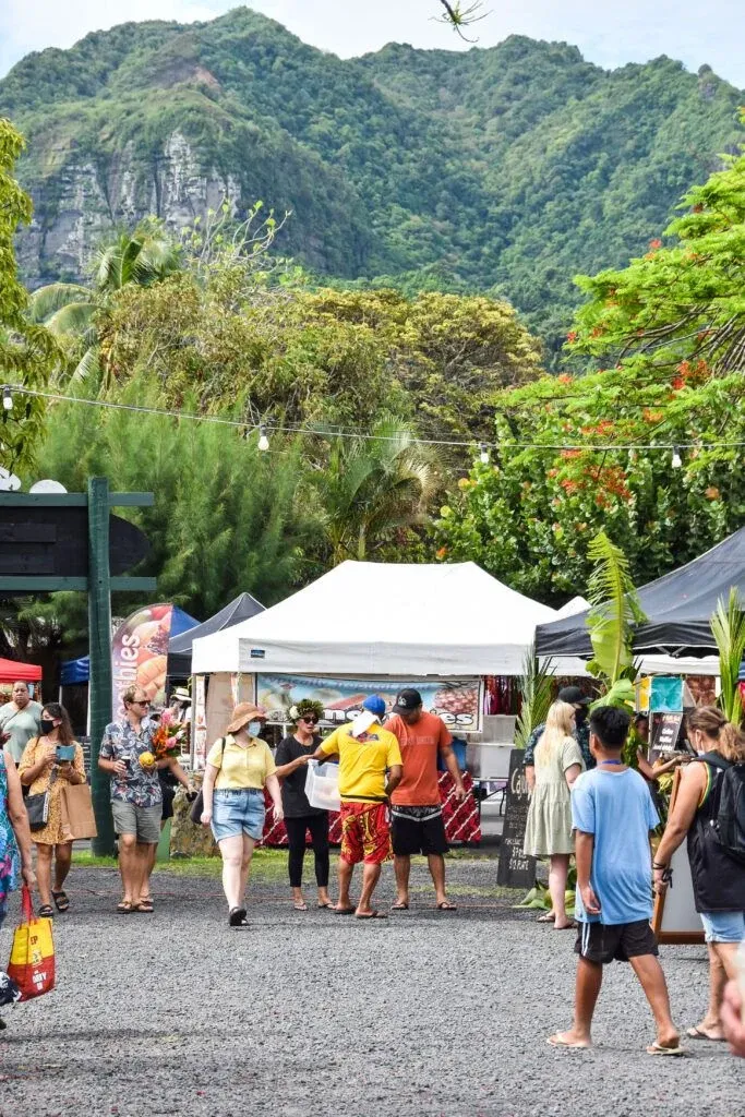 50 Best Things to Do on Rarotonga 🐋 [2025]