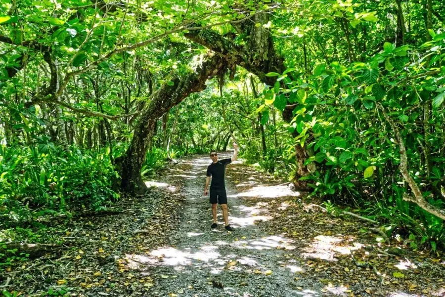 12 Free Things to Do on Atiu