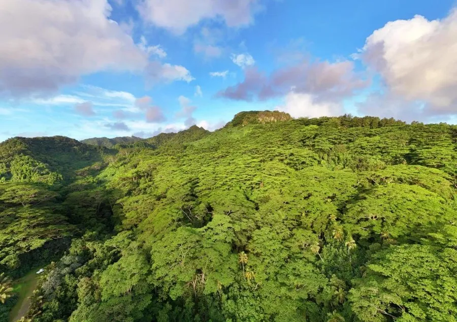 10 Best Places to Watch the Sunset in Rarotonga & the Cook Islands 🌅
