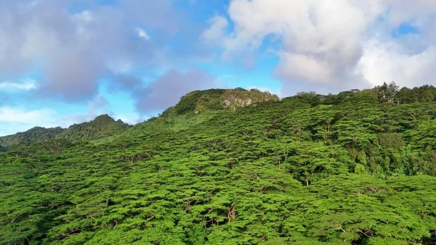10 Best Walks on Rarotonga [2025]