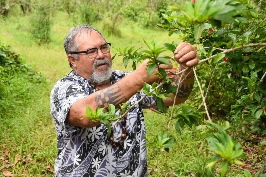 25 Top Reasons to Visit Rarotonga & the Cook Islands