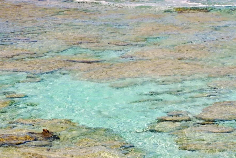 40 Best Things to Do in the Cook Islands with Kids 👪 [2025]