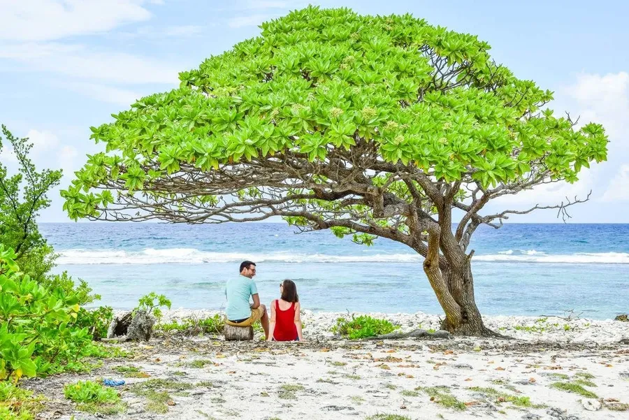 Cook Islands Honeymoon & Romance Itinerary: 7 Days / 1 Week