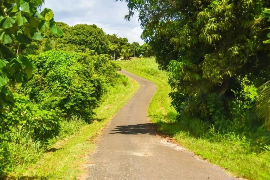 Which is Better, Renting a Car or Taking the Bus on Rarotonga?