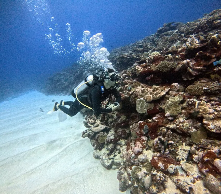 The Best Scuba Diving in the Cook Islands: Top 10 Places to Scuba Dive