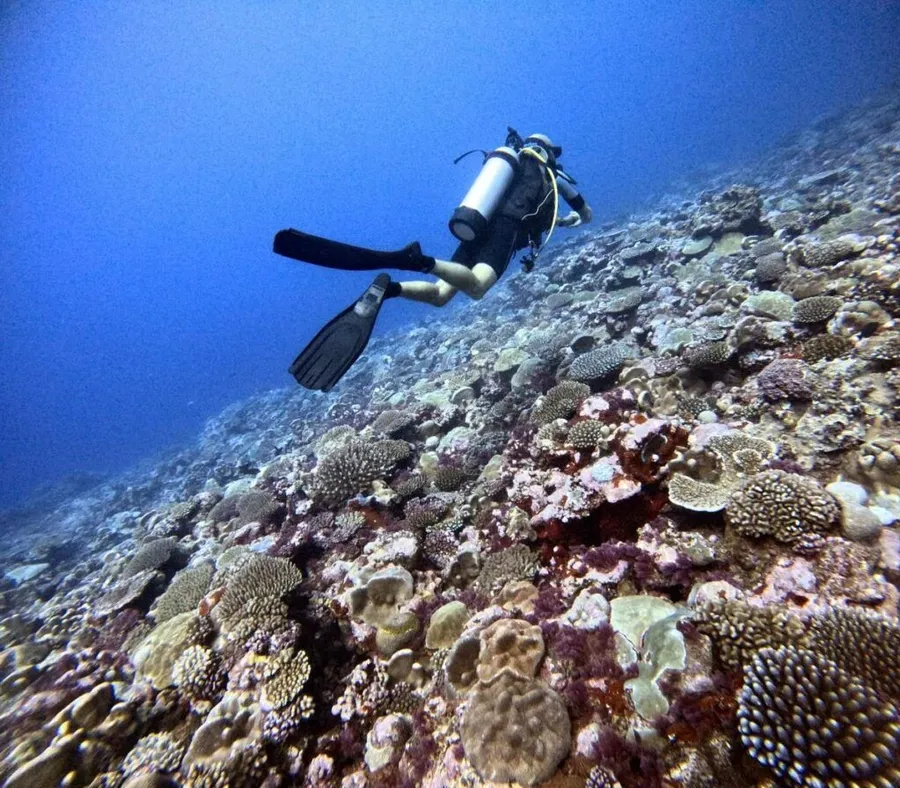 The Best Scuba Diving in Rarotonga: Top 25 Places to Scuba Dive