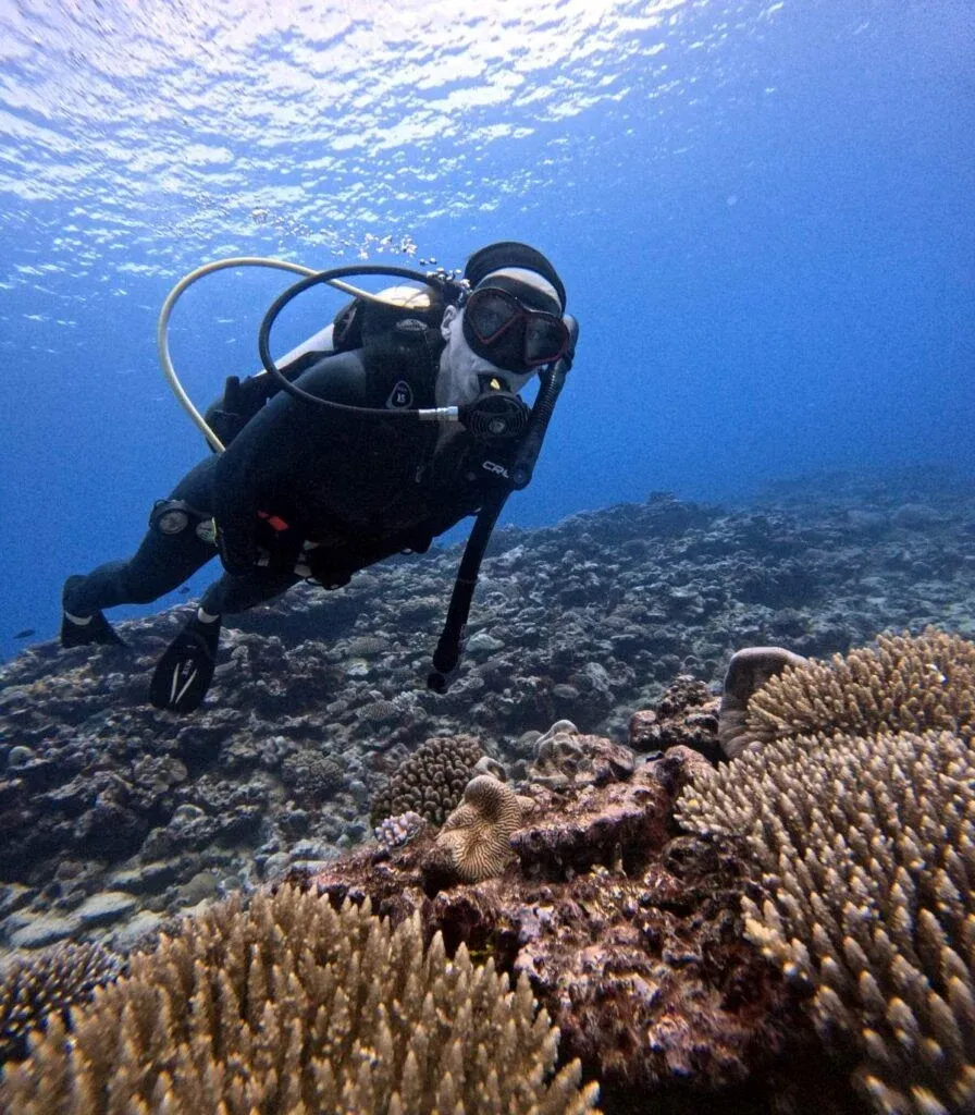 The Best Time to Dive in Rarotonga & the Cook Islands