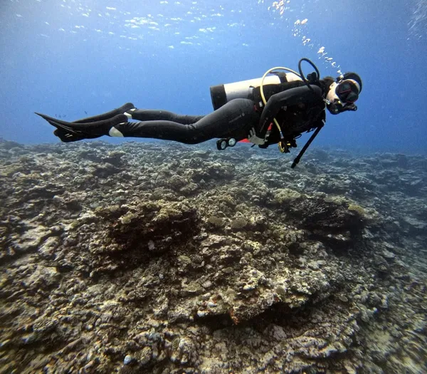 Learn to Dive in the Cook Islands: A Guide to Scuba Diving Certifications