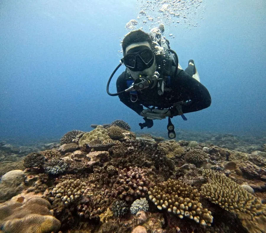 10 Best Water Activities in Rarotonga & the Cook Islands
