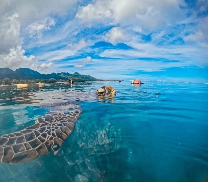 The Luxury Guide to Rarotonga