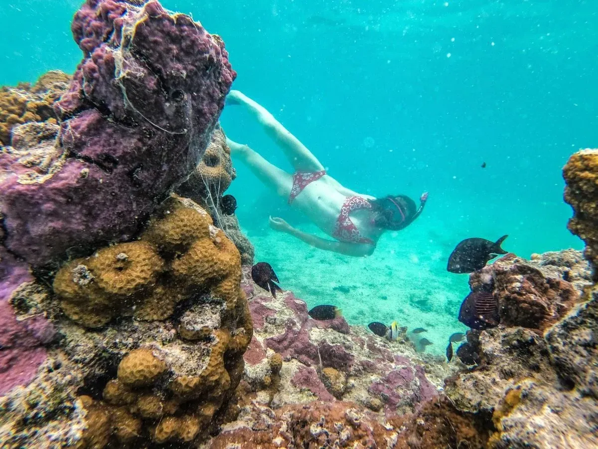 The Best Snorkelling in Rarotonga: Top 7 Places to Snorkel 🐠