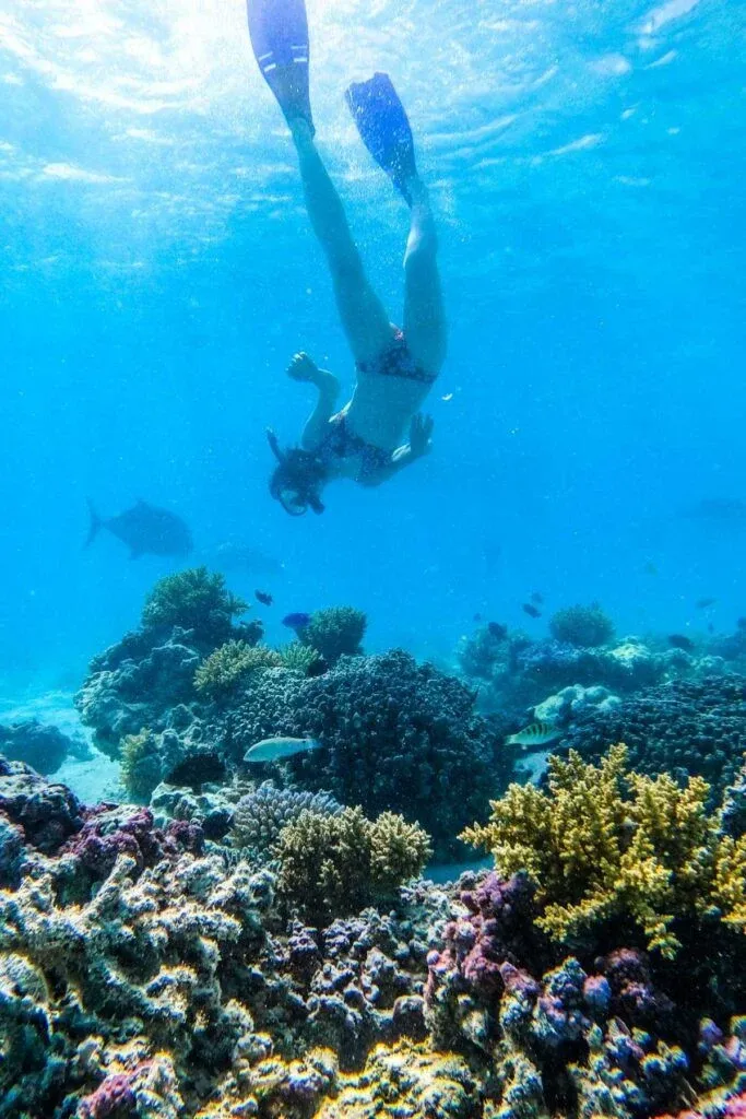 The Complete Travel Guide to Aitutaki 🐠 [2025]
