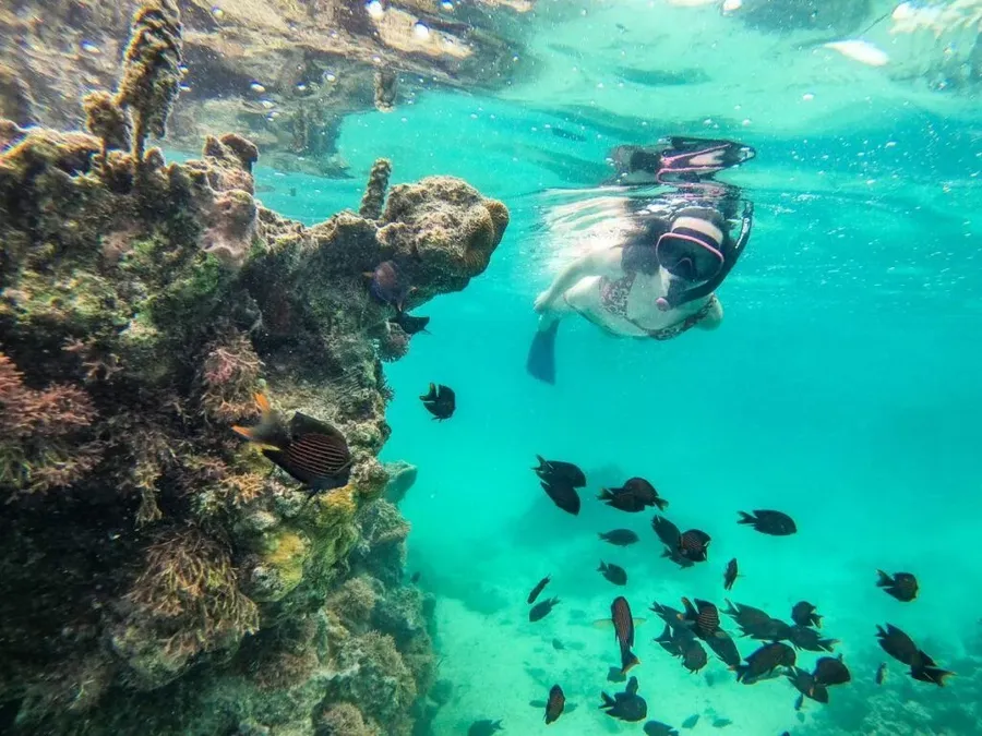 The Best Snorkelling in Rarotonga: Top 6 Places to Snorkel ????