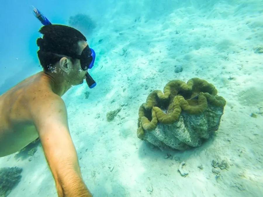 The Best Snorkelling in the Cook Islands: Top 10 Places to Snorkel