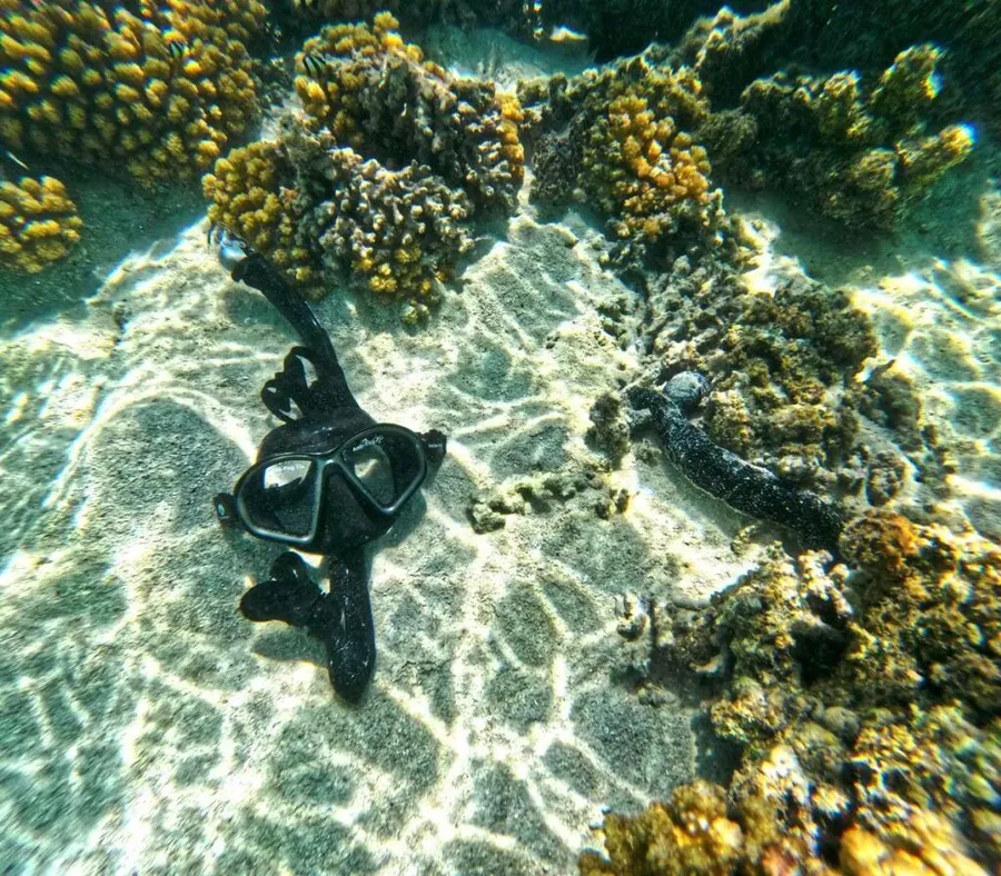 The Best Snorkelling in Rarotonga: Top 7 Places to Snorkel 🐠